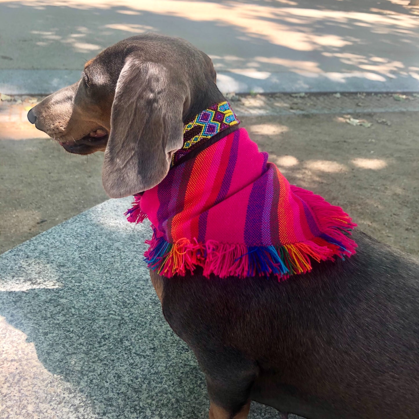bandana FRIDA