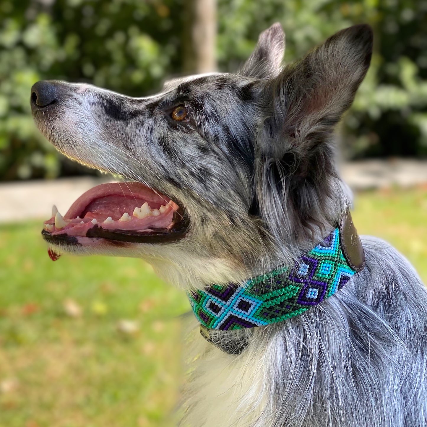 collar BACALAR