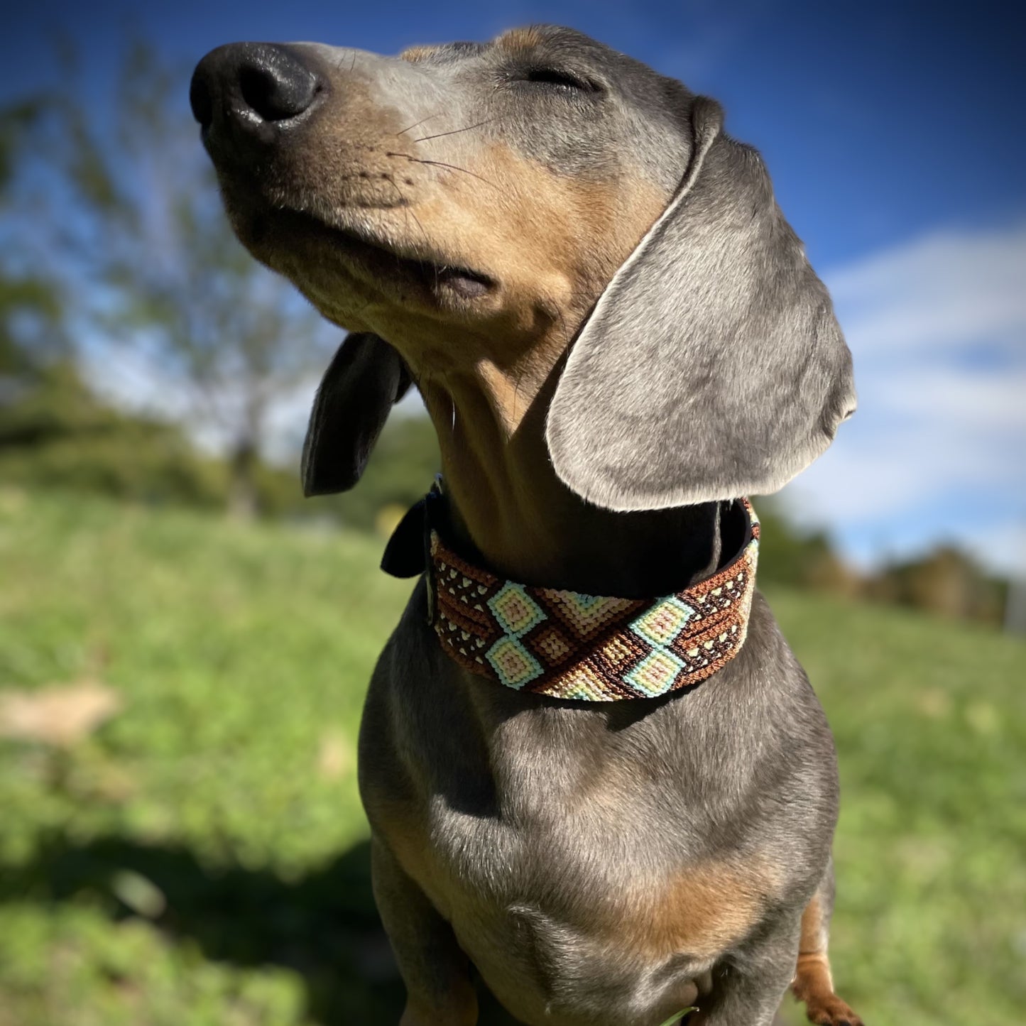 collar BENITO