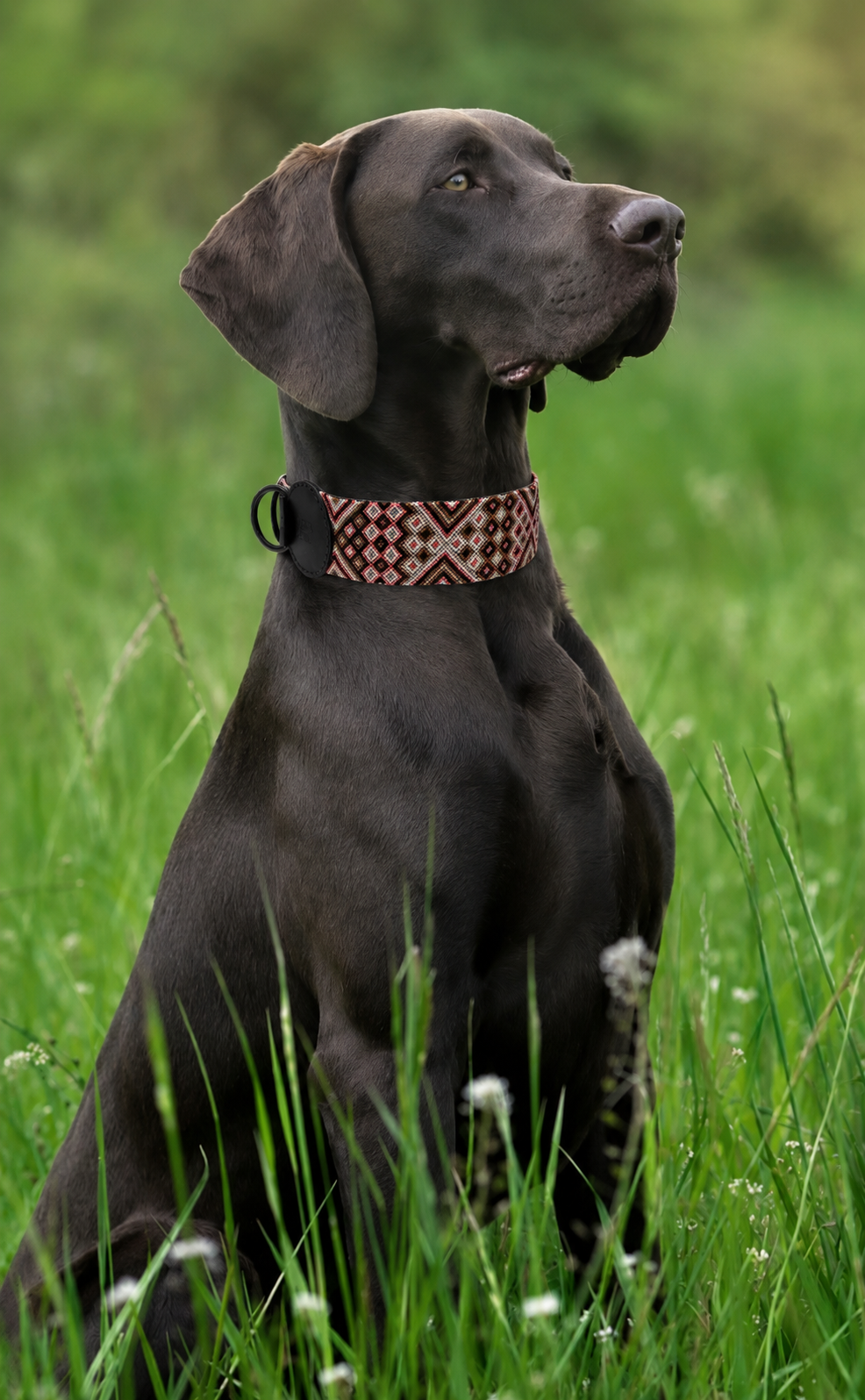 collar DURANGO