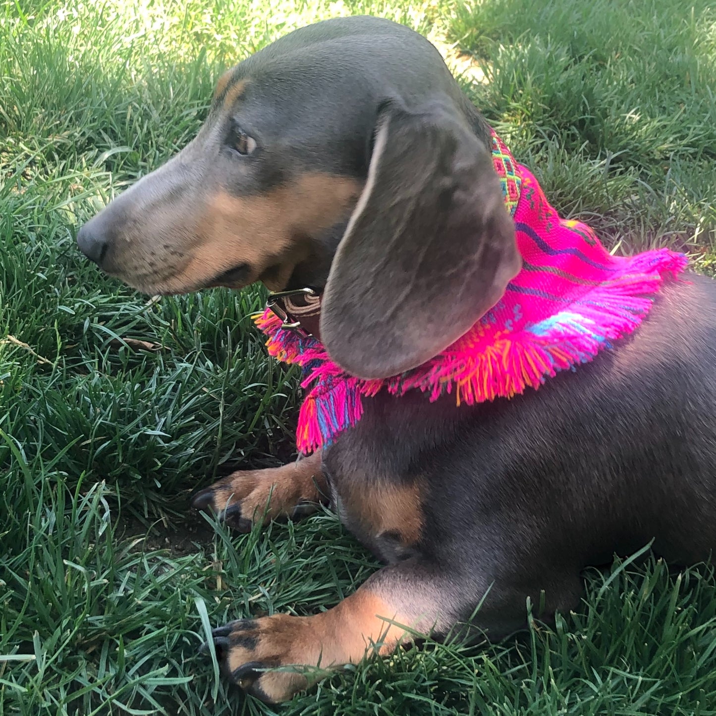 bandana CATRINA