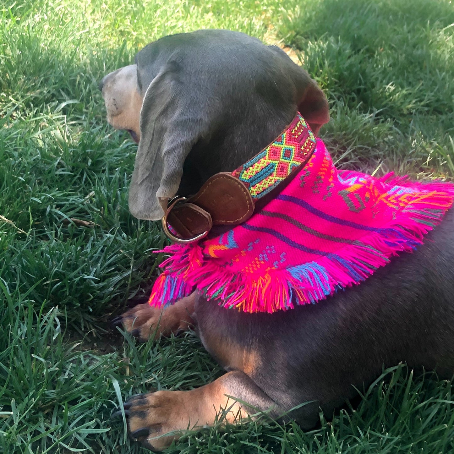 bandana CATRINA