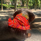 bandana COCO