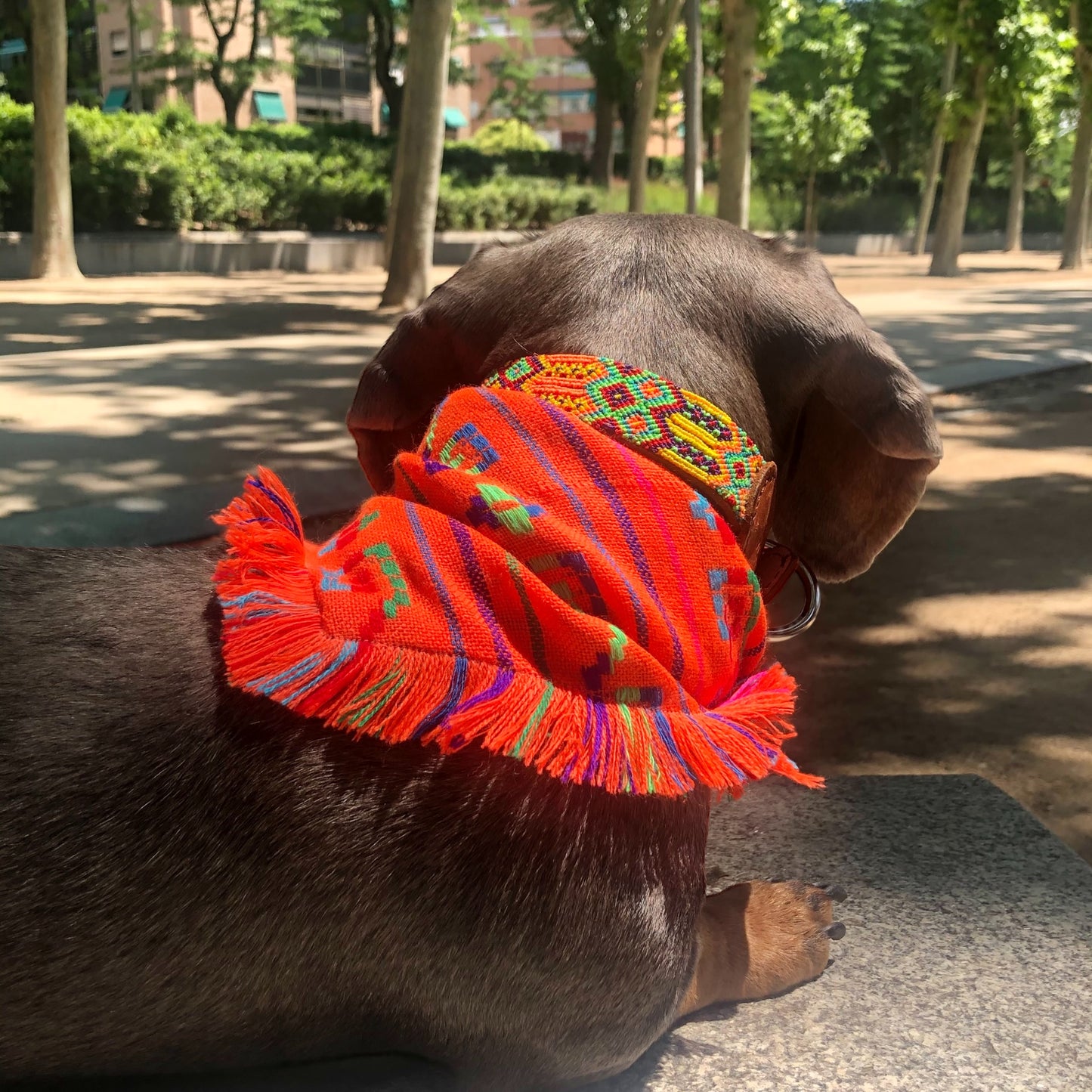bandana COCO