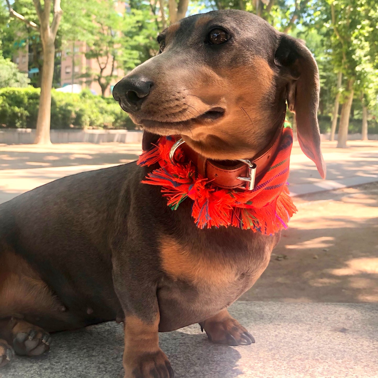 bandana COCO