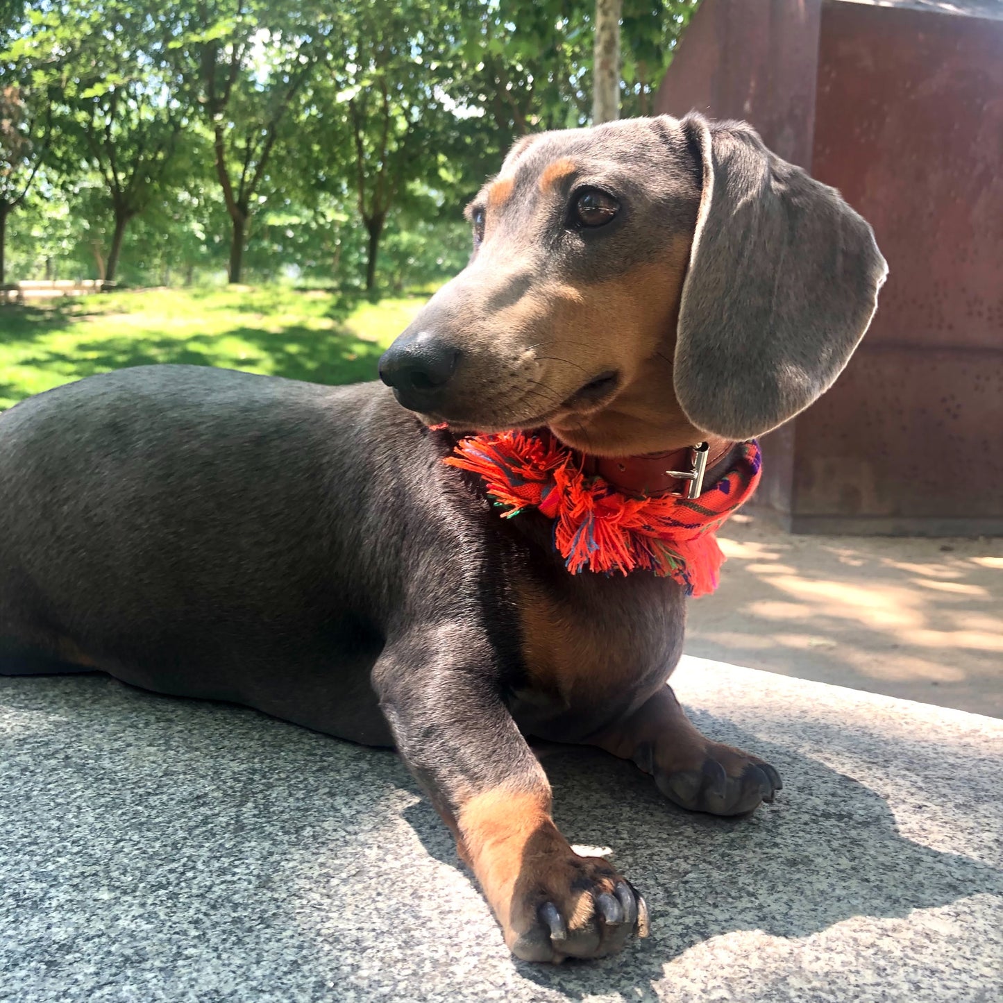 bandana COCO