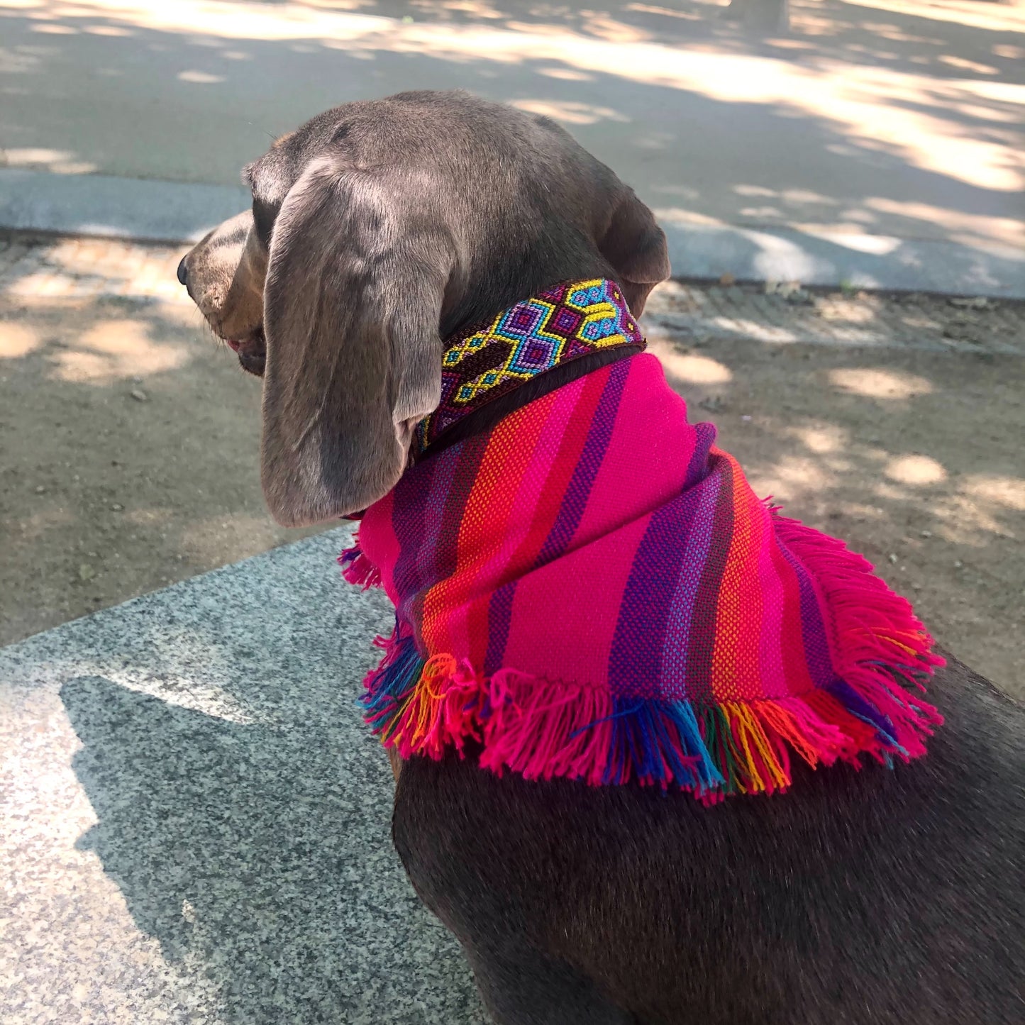 bandana FRIDA