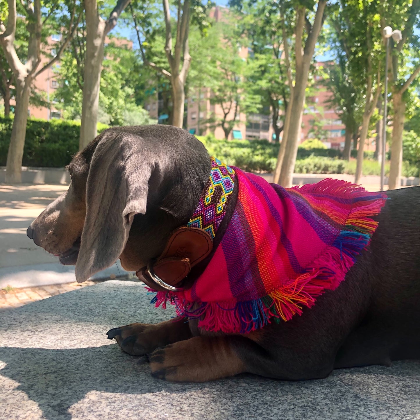 bandana FRIDA