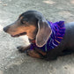 bandana LUNA