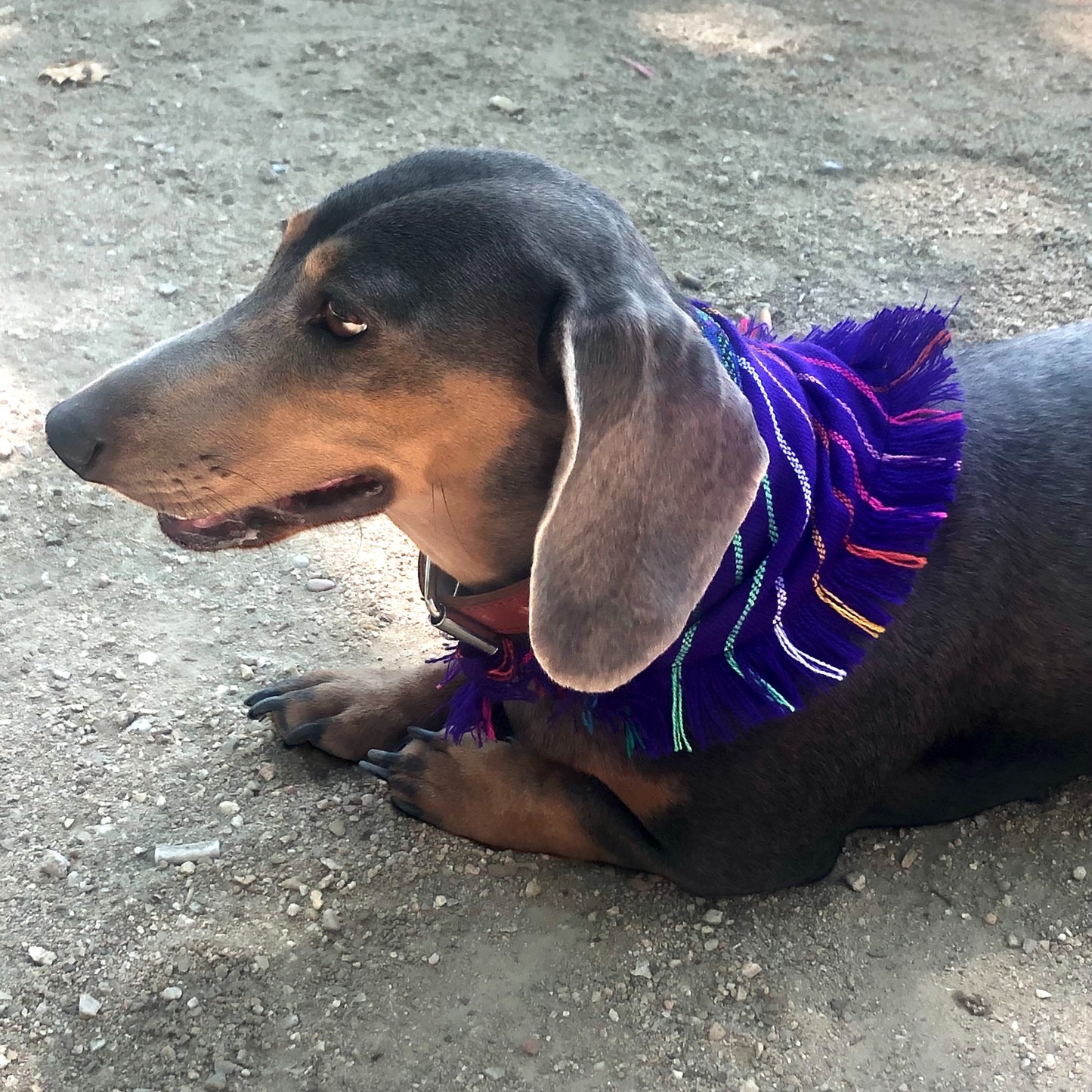 bandana LUNA