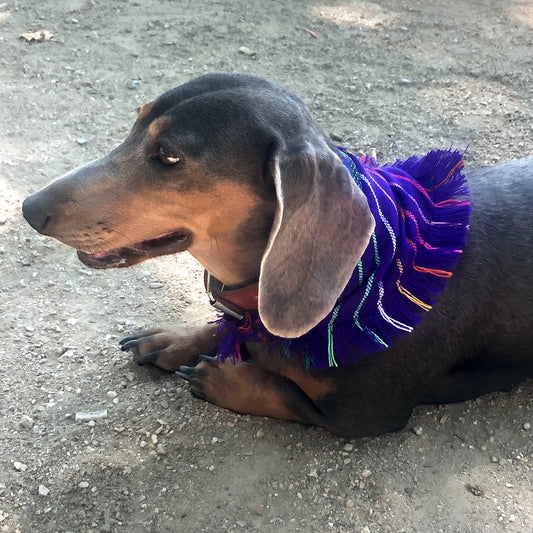 bandana LUNA