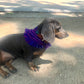 bandana LUNA