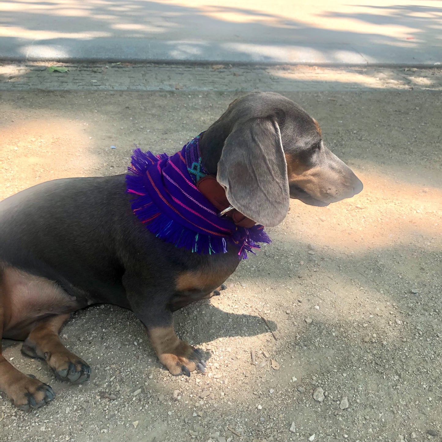bandana LUNA