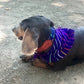 bandana LUNA