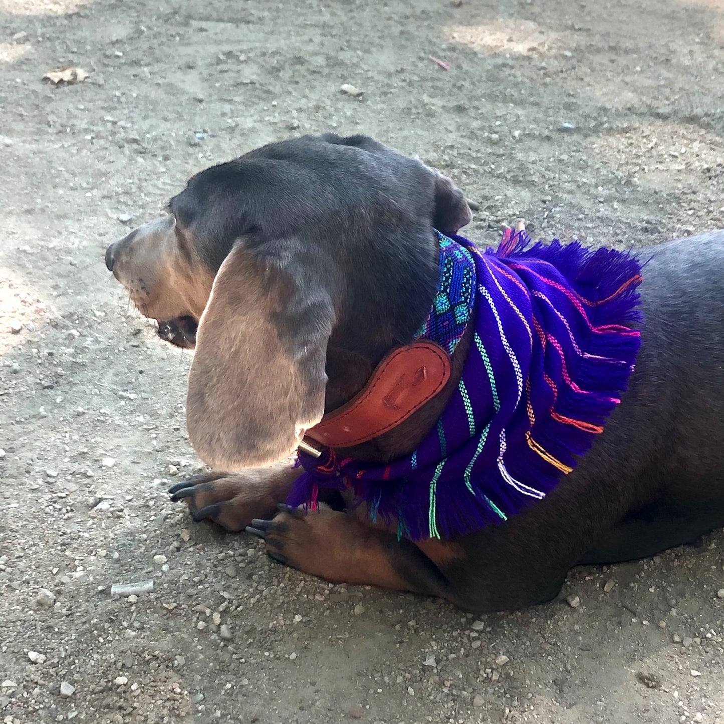 bandana LUNA