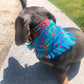 bandana PUEBLO
