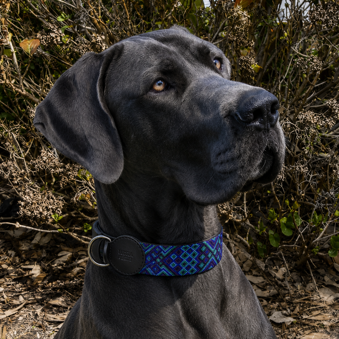 collar BACALAR