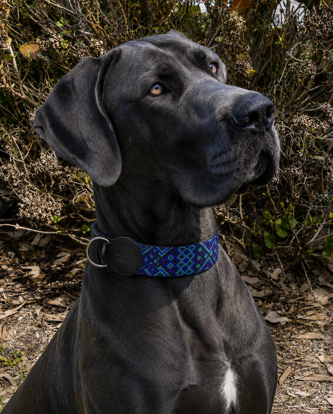 collar BACALAR