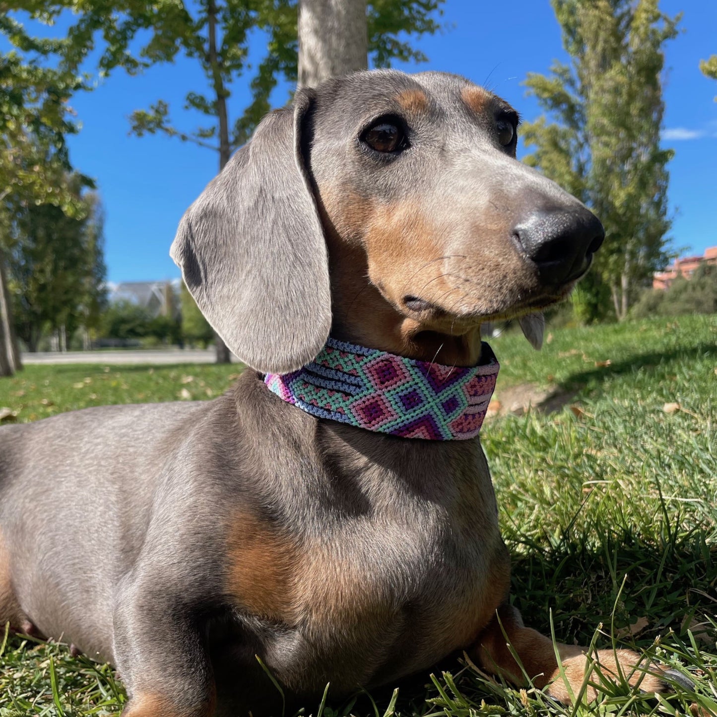 collar CHABELA