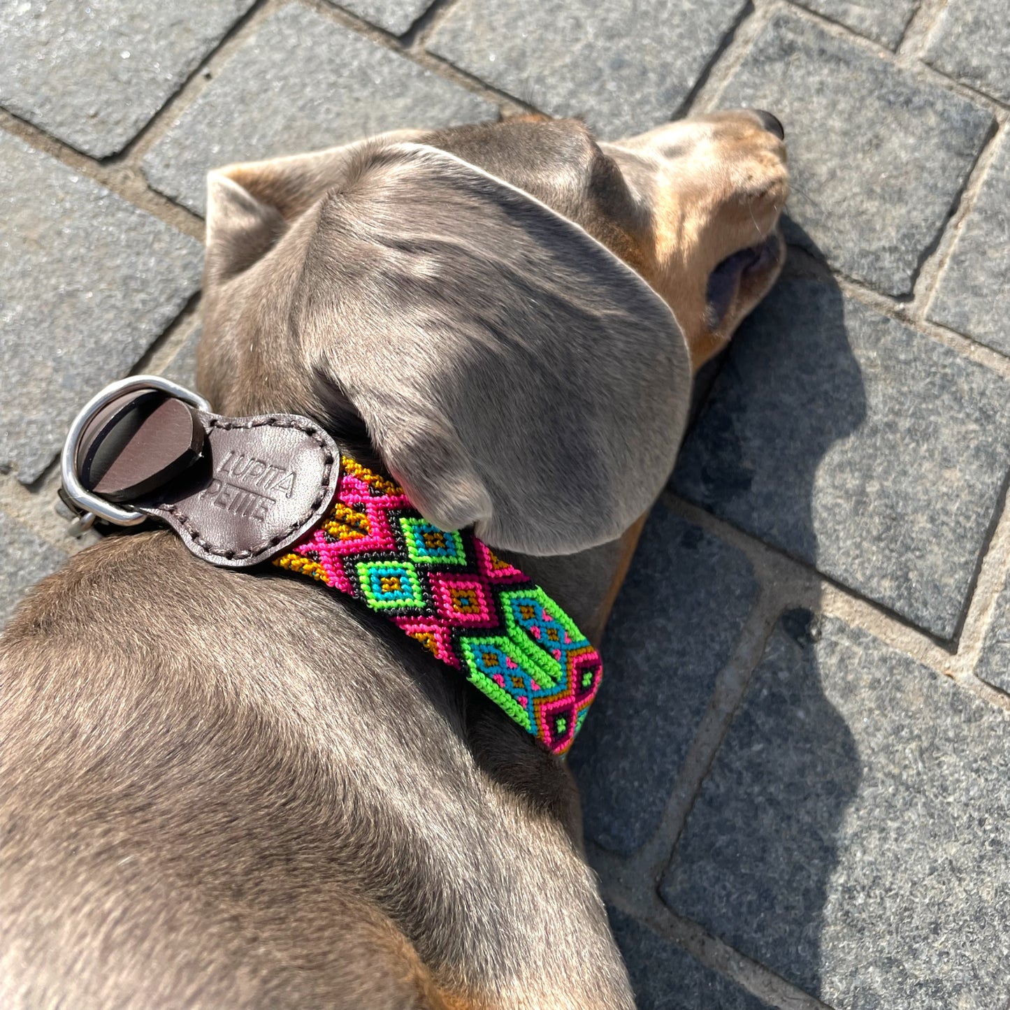 collar CHALUPA