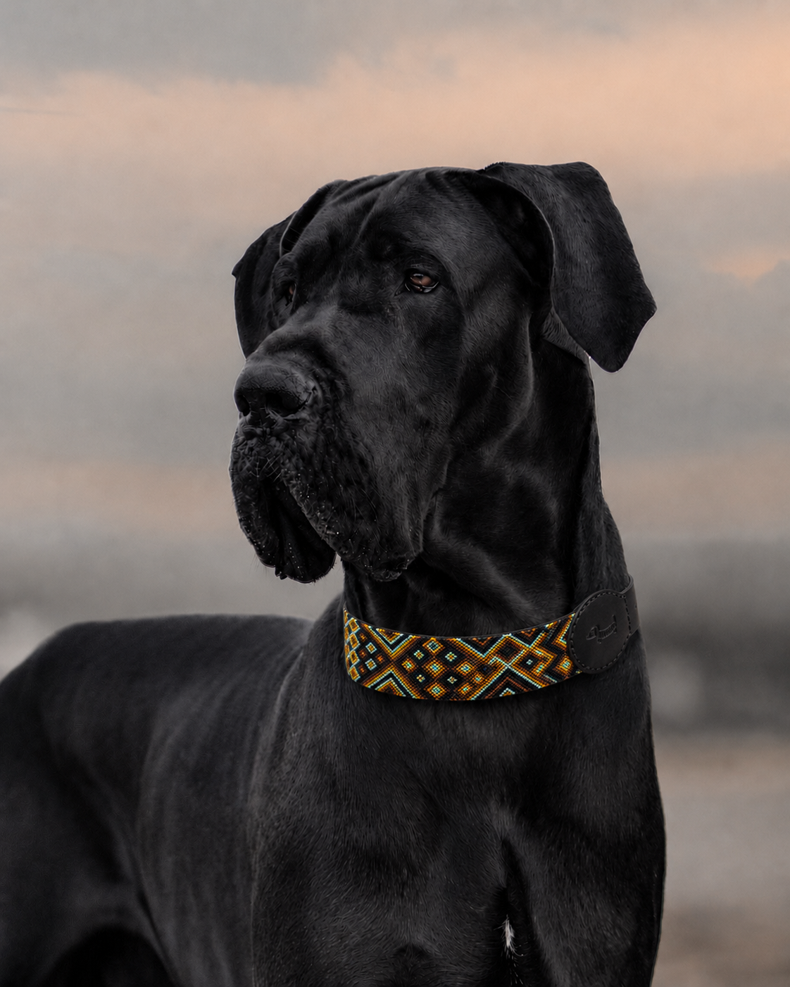 collar MÉRIDA