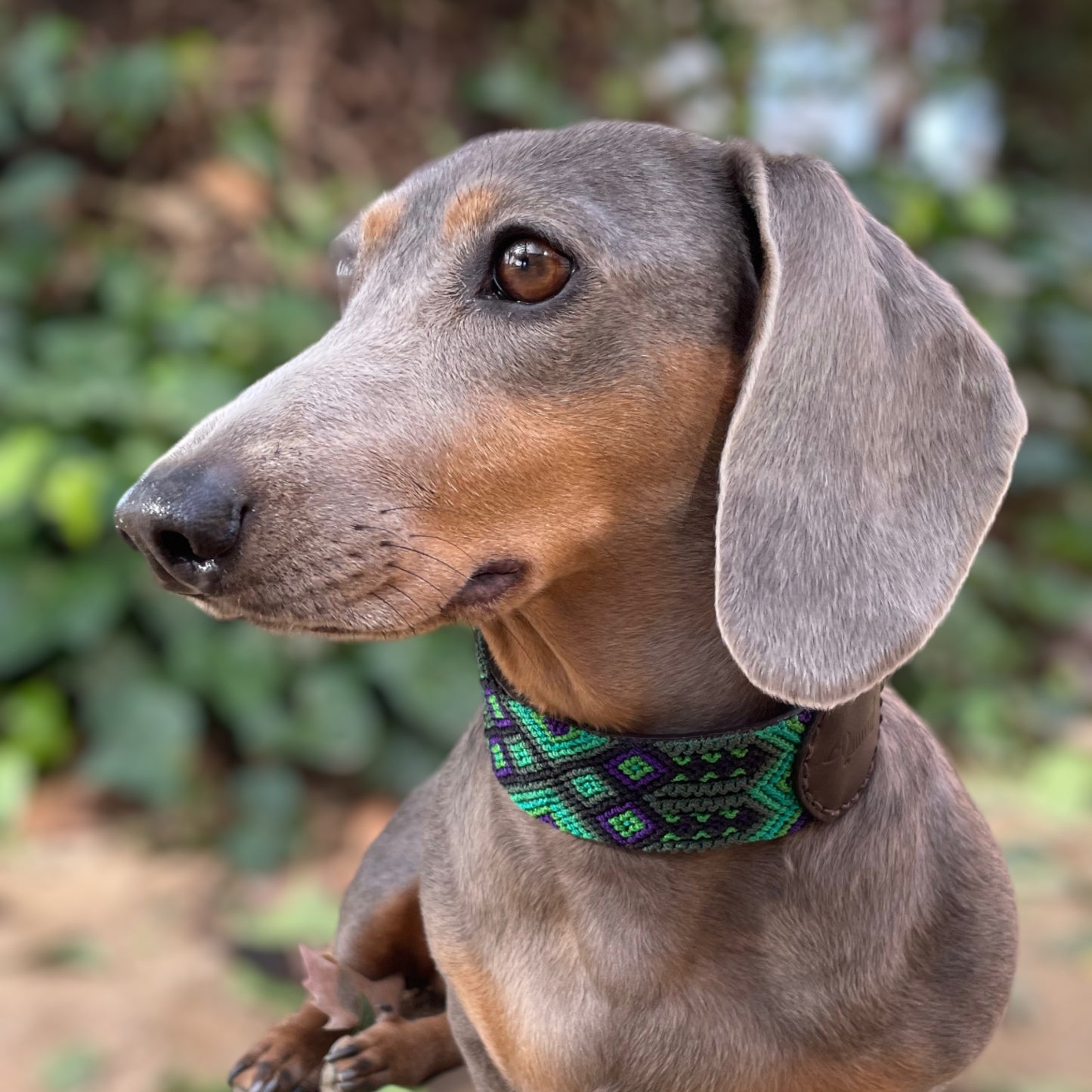 collar NOPAL