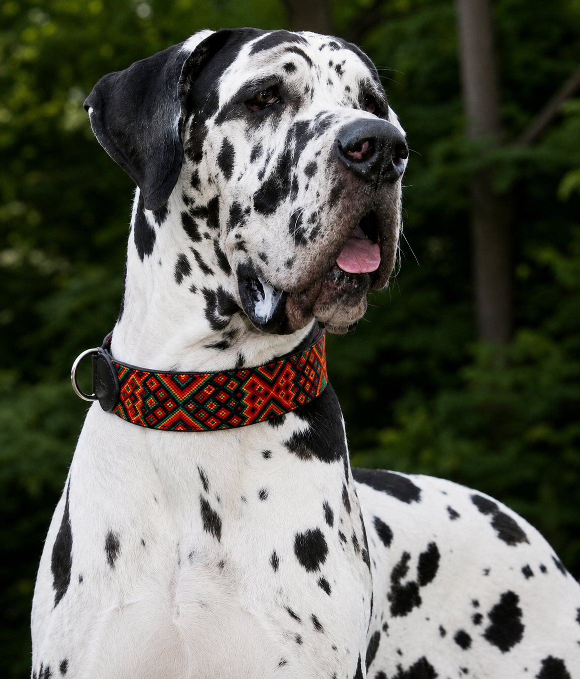 collar SAN CRISTOBAL